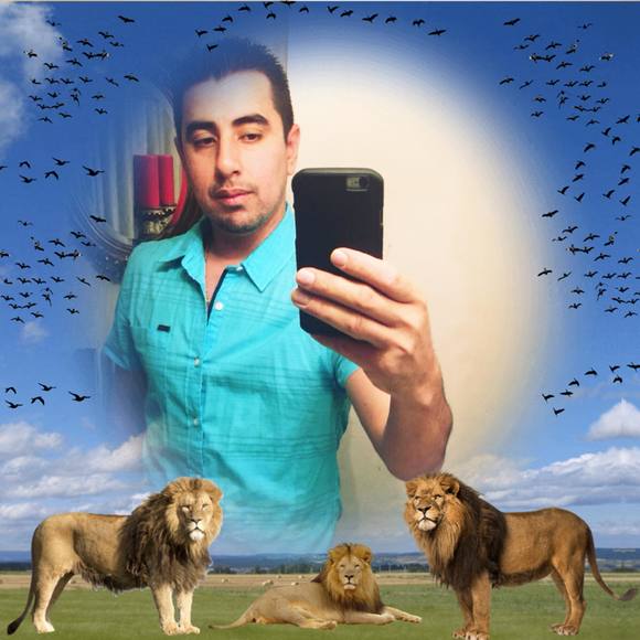 Meet your Posher, Ricardo - Picture 1 of 1